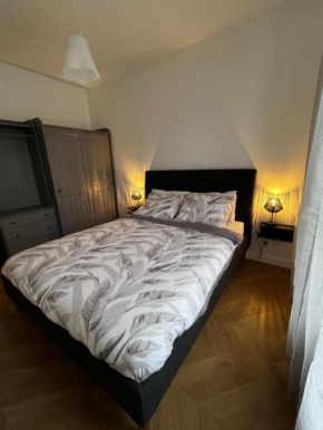 Appartement moderne et cosy , 5 min de la gare de RER D , remise des clés en main propre